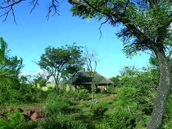 Abloom Bush Lodge & Spa Retreat Cullinan Dış mekan fotoğraf