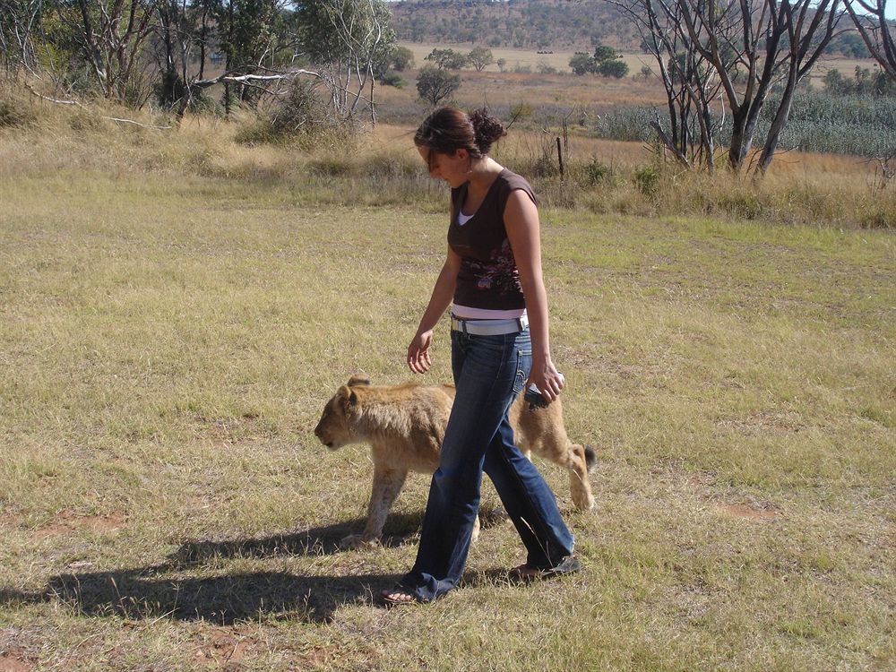 Abloom Bush Lodge & Spa Retreat Cullinan Dış mekan fotoğraf